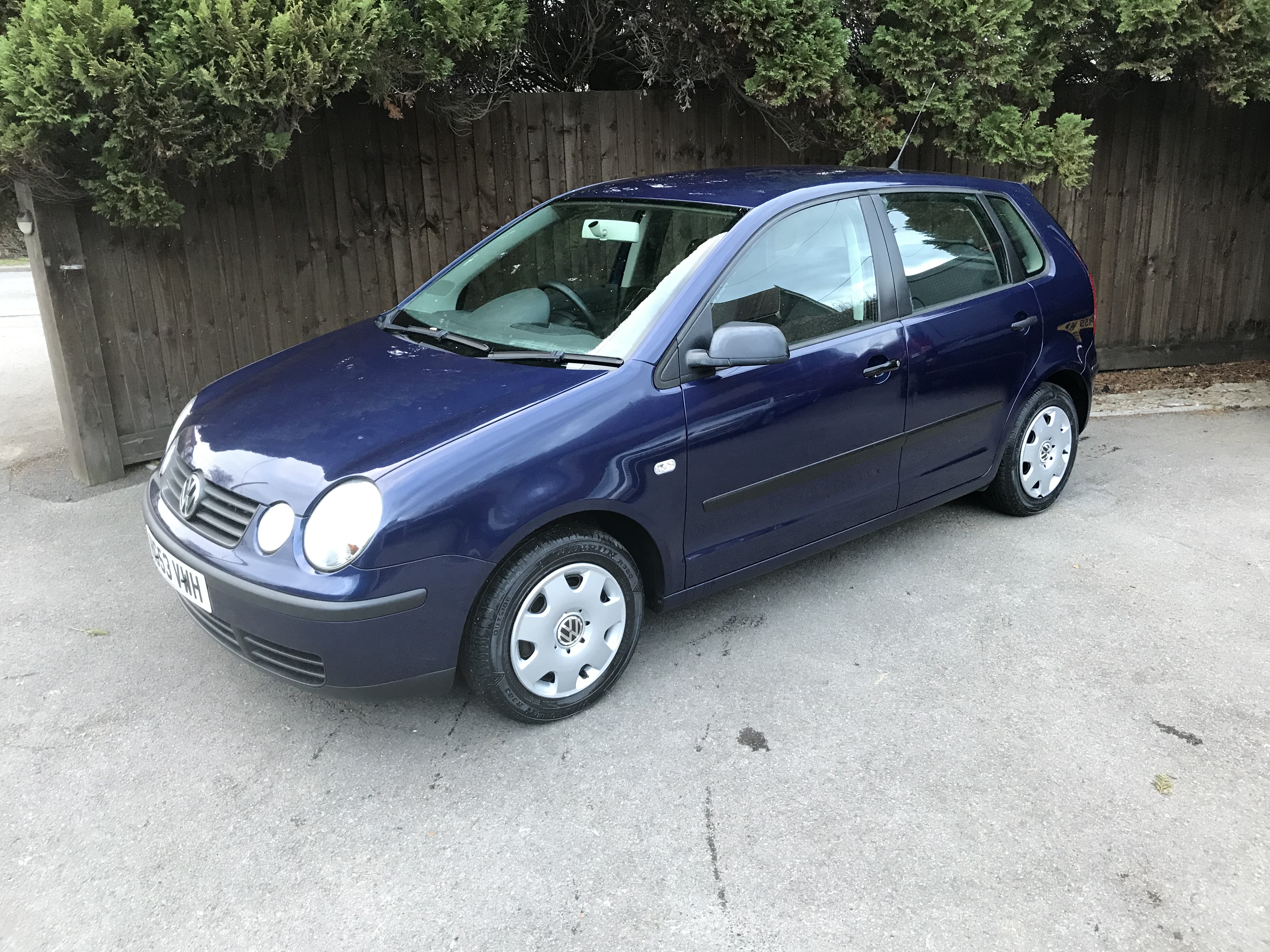 Polo